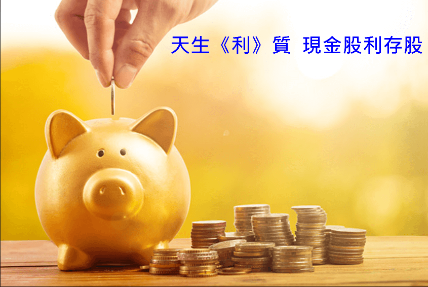 天生利質 現金股息存股