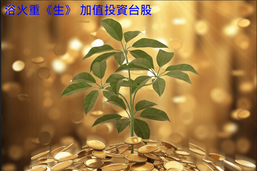 浴火重生 股票加值投資