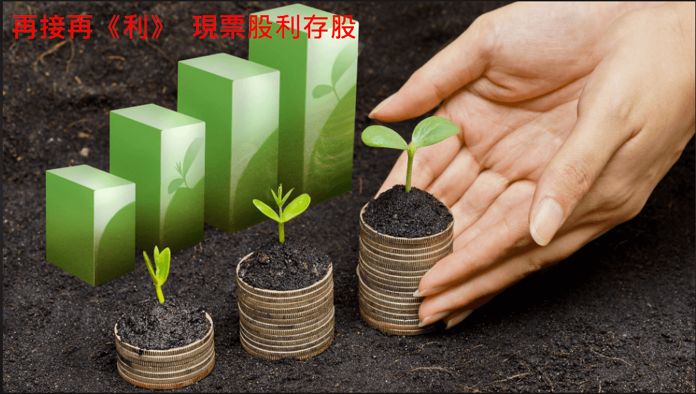 再接再厲 股票股利存股